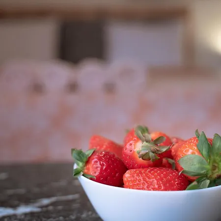 Aparthotel Wow For Rent - Bul Montevideo 25a - B