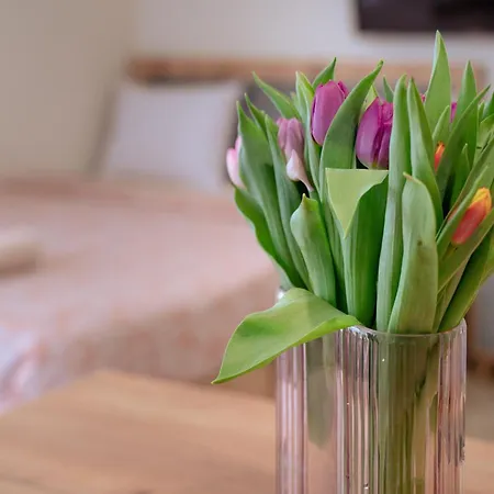 Wow For Rent - Bul Montevideo 25a - B Sofia