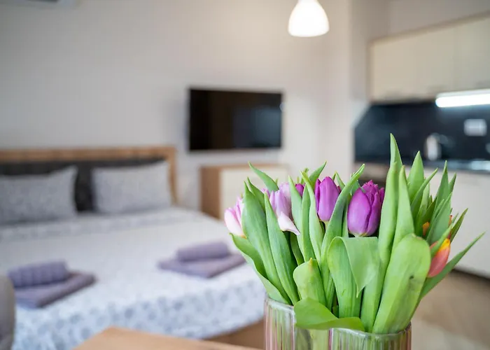 Wow For Rent - Bul Montevideo 25a - B Апартхотел