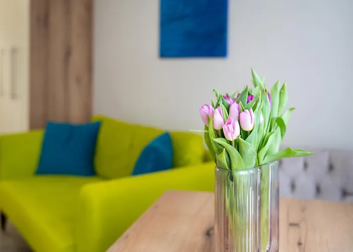 Wow For Rent - Bul Montevideo 25a - B