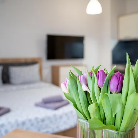Wow For Rent - Bul Montevideo 25a - B Aparthotel
