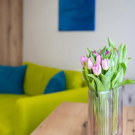 Wow For Rent - Bul Montevideo 25a - B