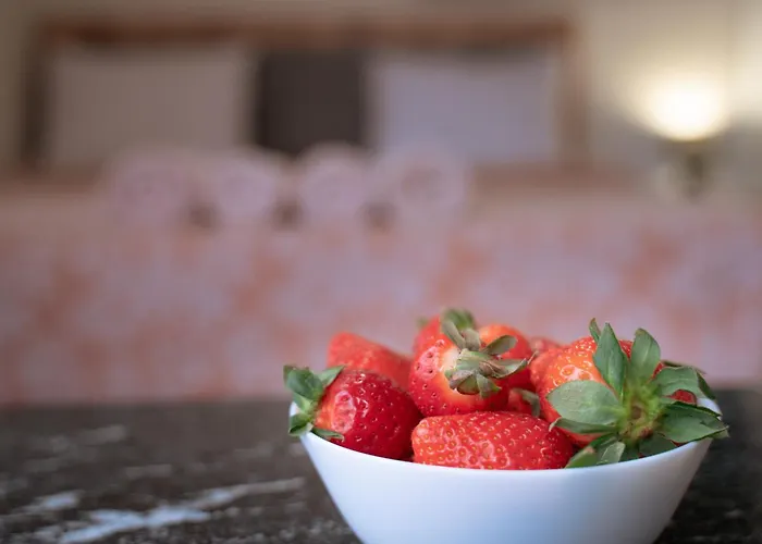 Lejlighedshotel Wow For Rent - Bul Montevideo 25a - B